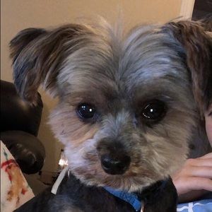 Meet your Posher, Lindsey